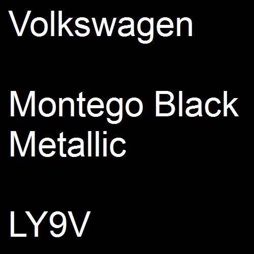 Volkswagen, Montego Black Metallic, LY9V.